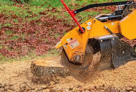 How Our Tree Care Process Works  in  Clifton Heights, PA